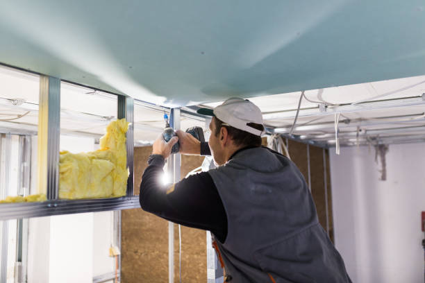 Best Geographic-Specific Insulation Services in Pickens, MS