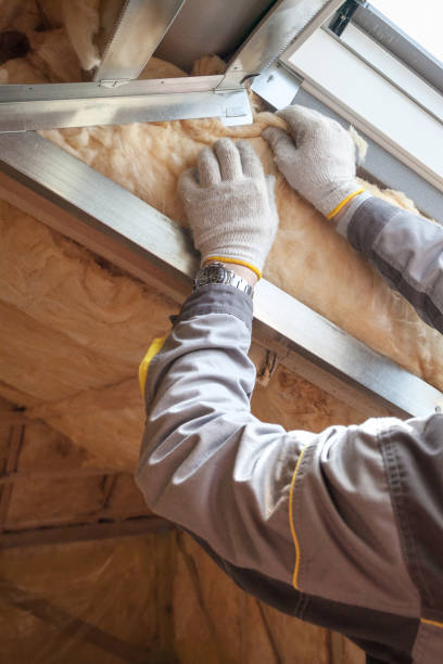 Best Specialized Insulation Services in Pickens, MS